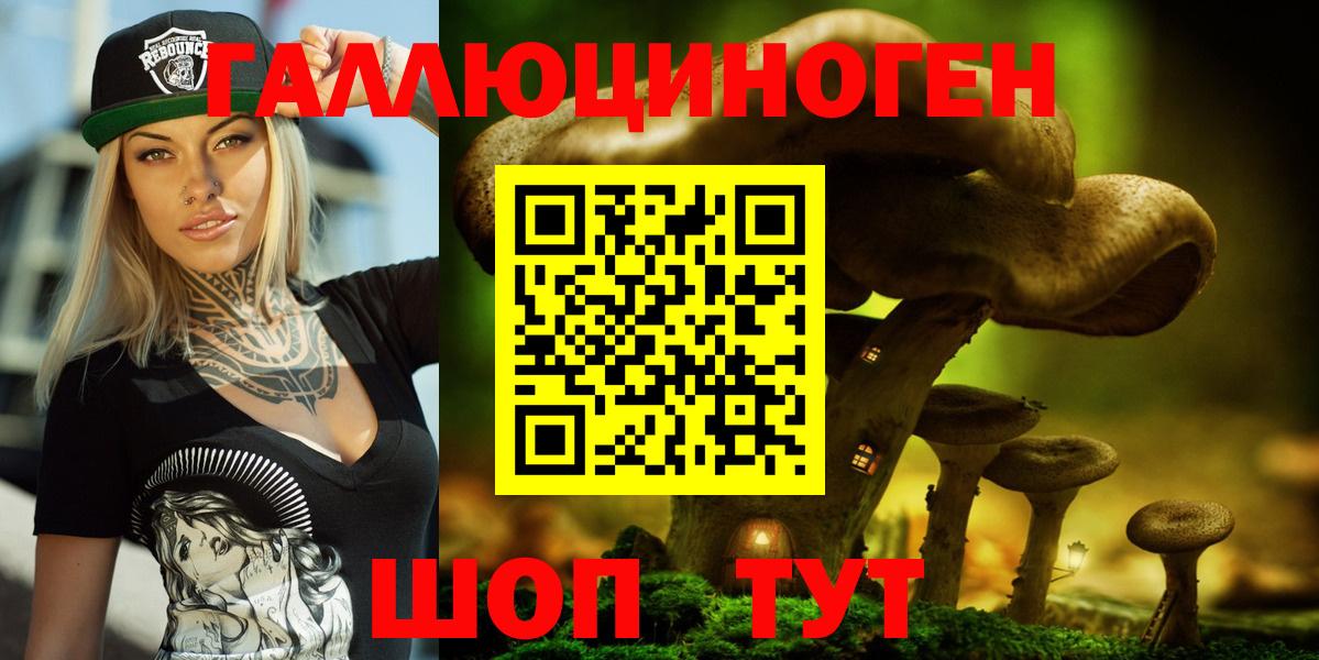 Великий Устюг  Псилоцибиновые грибы Magic Shrooms  Вход с VPN 